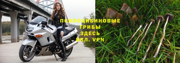 первитин Вязьма